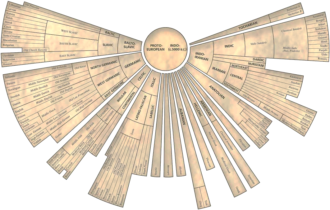Language Family Tree showing how modern languages developed from Proto-European roots